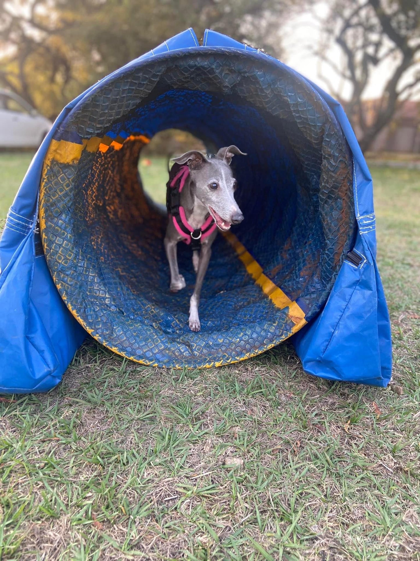 Agility tunnels