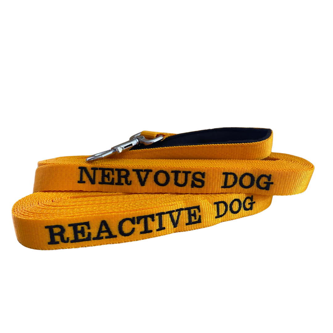 Nervous / Reactive Dog Long Leash