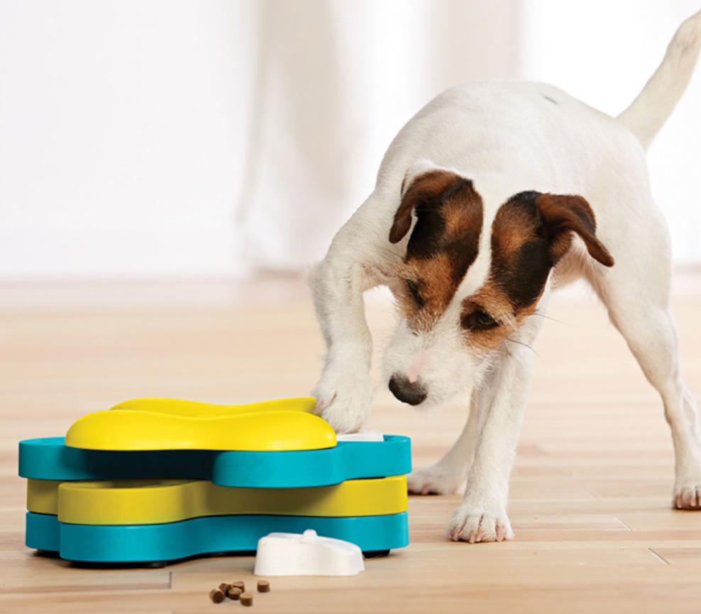 Nina Ottosson Dog Tornado Puzzle Toy