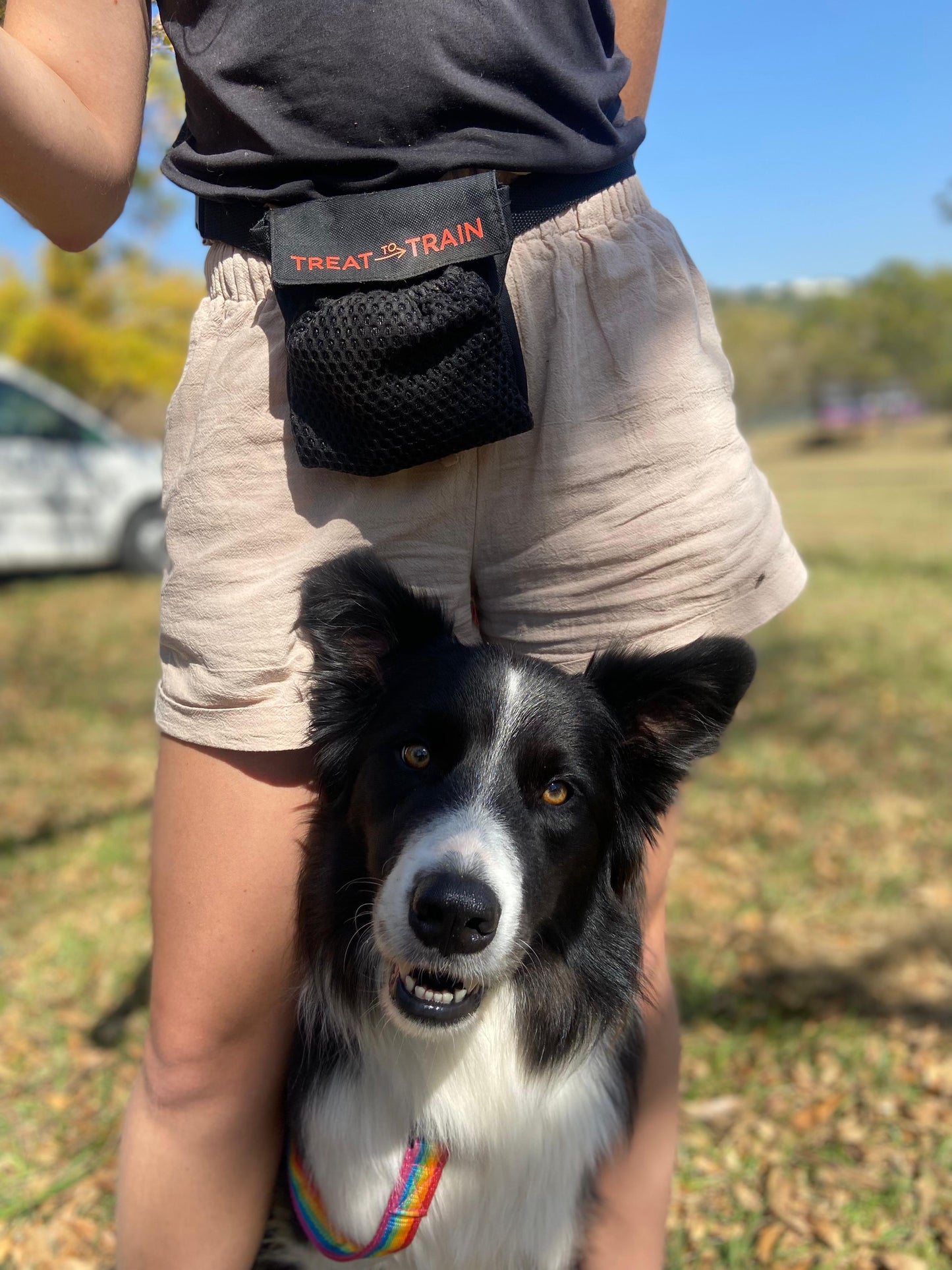 Treat Bag