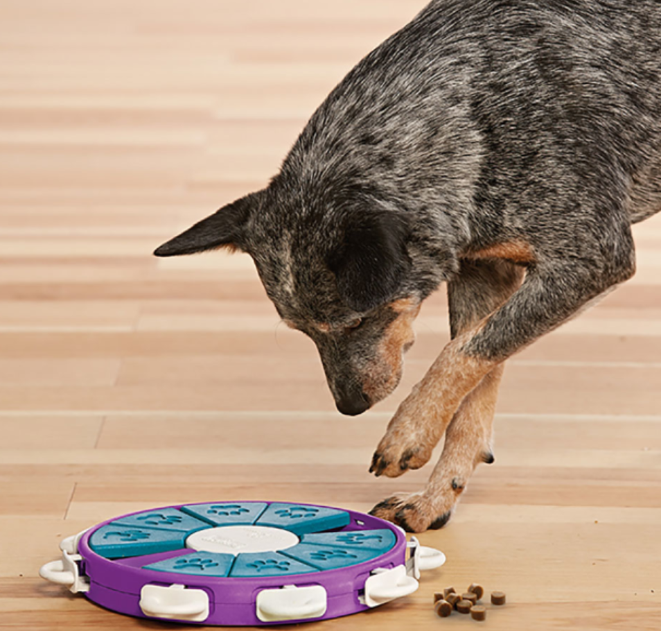 Nina Ottosson Dog Twister Puzzle Toy