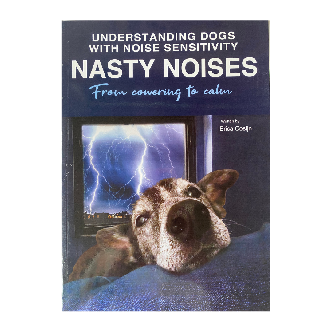 Nasty Noises