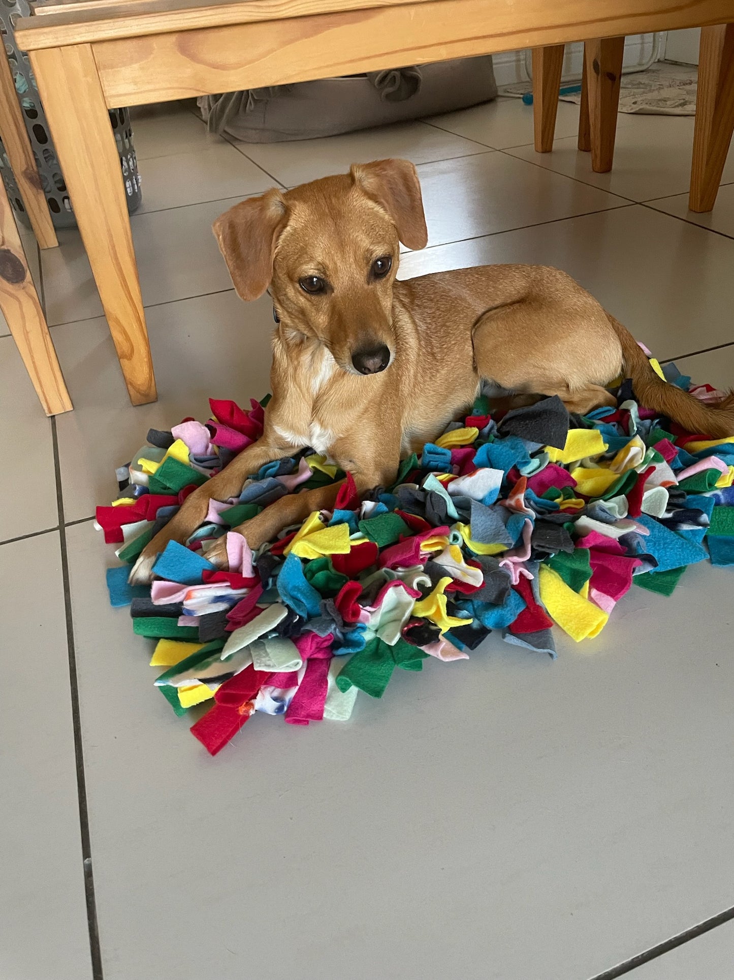Snuffle Mat