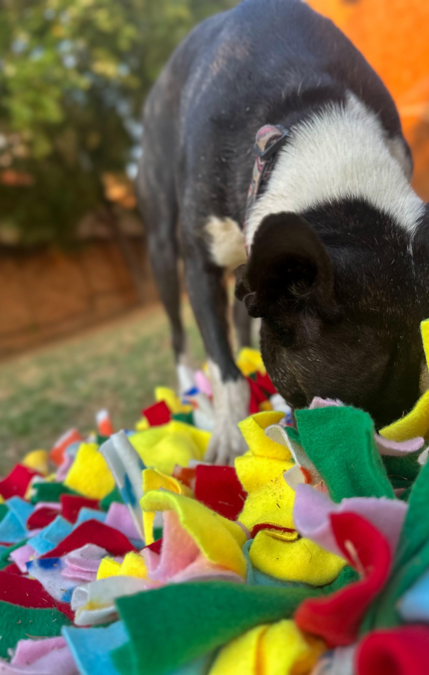 Snuffle Mat