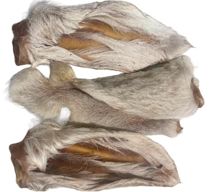 Lamb Ears