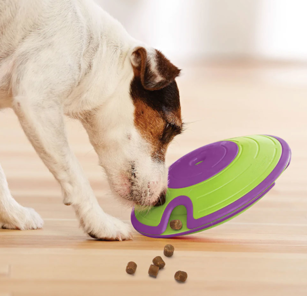 Nina Ottosson Dog Treat Maze Puzzle Toy