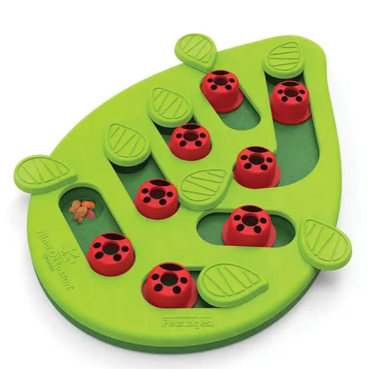 Puzzle And Play Cat Toy - Buggin' Out