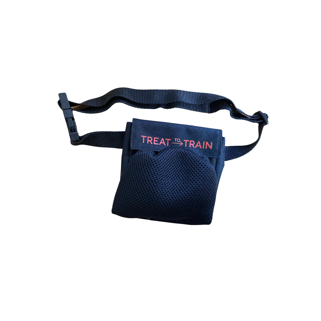 Treat Bag