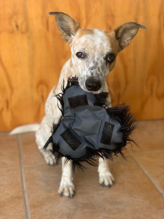 UFO - Unidentified Furry Object